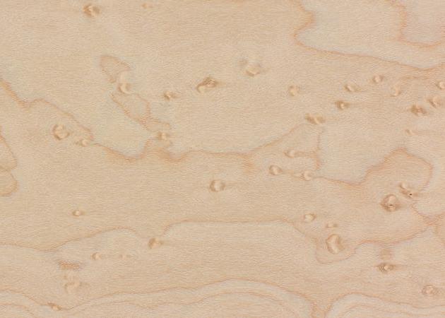 Bird's Eye Maple Hardwood Closeup