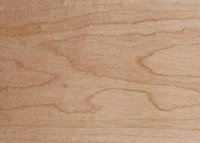 Hard Maple Hardwood Lumber Grain Detail